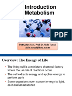 LECTURE 1- Introduction to Metabolism