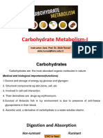 LECTURE 2 - Carbohydrate Metabolism