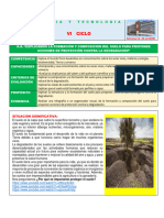 Tarea Dect