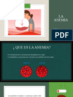 La anemia informatica