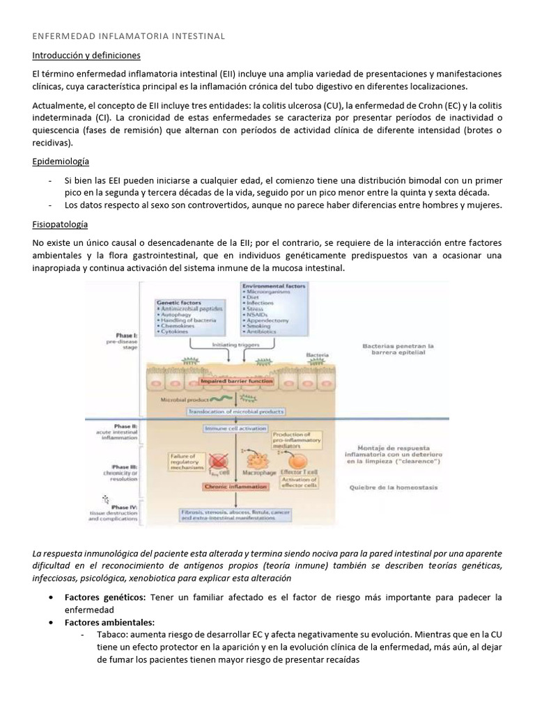 Enfermedad Inflamatoria Intestinal: EII | PDF | Colitis ulcerosa ...