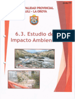 Estudio Lmpacto: Ambiental