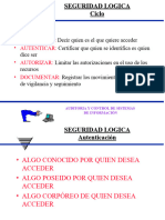 MAESTRIA_AUDITORIA Seguridad Logica básicoV2