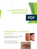 Alteraciones de Los Tejidos Blandospdf