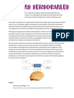 Sistemas Sensoriales