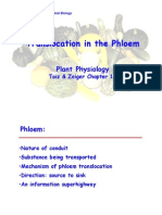(03!31!2008)Phloem Lecture Yu