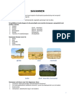 Les 4. Savannen PDF