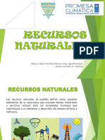 Recursos Naturales, Cuales Son y Su Importancia