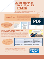 Seguridad Social en El Peru