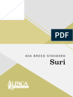 aoa-suri-breed-standard