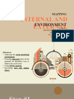Mapping Internal and External Environment