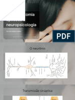 Neuroanatomia aplicada a Neuropsicologia