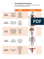 Sistemas y Aparatos Del Cuerpo Human1