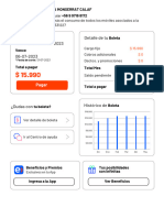 Informe Curricular