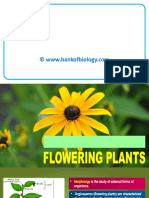 5 Morphology of Flowering Plants