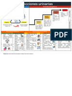 Historia de La Enfermedad de Las Infecciones Urinarias