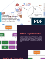 Modelo Organizacional