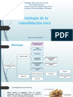 Fisiología de la consolidación ósea