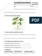 Evaluación de Ciencias Naturales 1er Triemestre