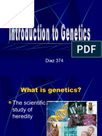 Intro To Genetics EOC