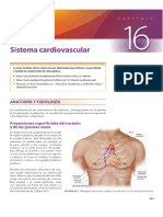 Sistema Cardiovascular