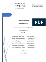 Contaminación Química