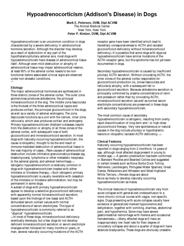 Addison's Disease in Dogs: Overview | PDF | Adrenal Gland | Endocrine ...