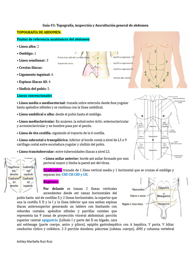 Guía #3 Topografía, inspección y Auscultación general de abdomen | PDF ...