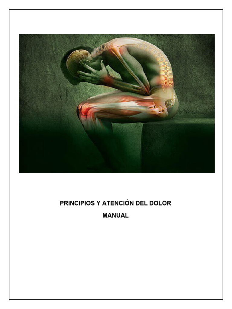 Principios del Dolor: Tipos y Evaluación | PDF | Dolor | Cerebro