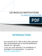11 Les Muscles Elevateurs 2010-Medelci