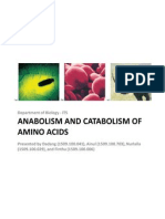 Amino Acid Fix Gabungan