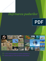 346637916-Defrisarea-padurilor-ppt