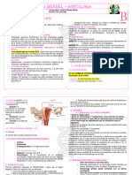 G 14 Embarazo Ectopico