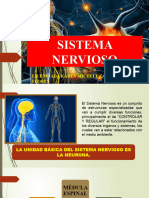 Sistema Nervioso 22