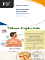 Ventilação Mecânica Invasiva e Não Invasiva