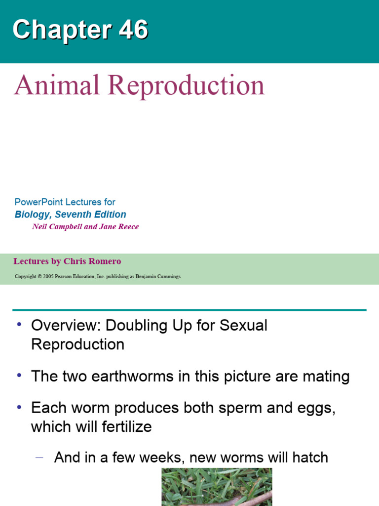 46 Animal Reproduction | PDF | Reproduction | Sexual Reproduction