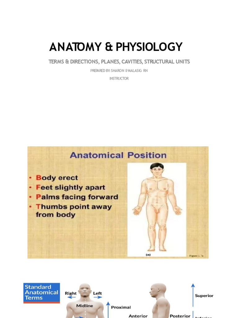 INTRODUCTION-HUMAN-BODY-no-bg | PDF