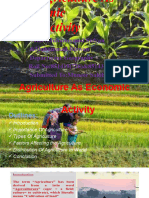 Agriculture As Economic Activity