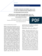 2163-Texto Do Artigo-6779-1-10-20210301