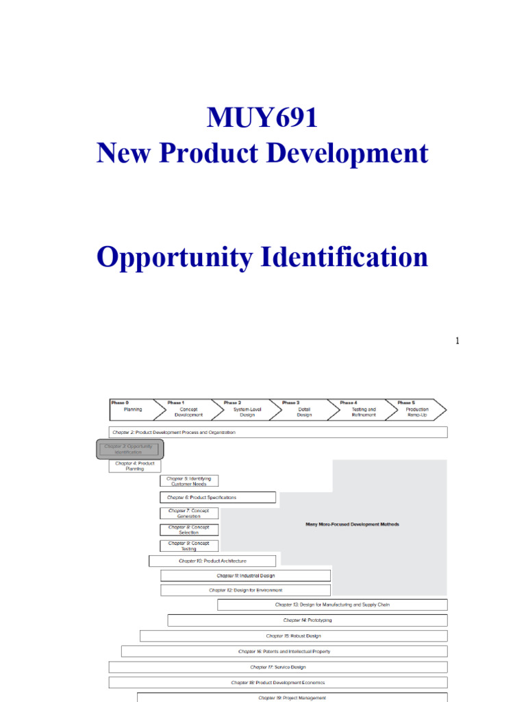 Problem-solving and opportunity identification