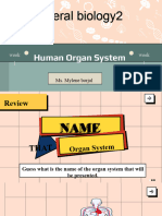 Introduction To Human Body System