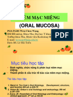 NIÊM MẠC MIỆNG- TUYẾN NƯỚC BỌT