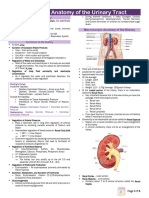 1.1 Renal Physiology 1