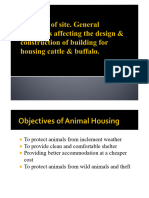 Selection of Site. Housing Systems in Cattle & Buffalo