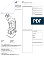 autla pratica Roteiro microscopia e celula (1)