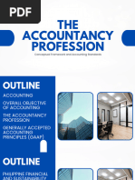 Chapter 1 The Accountancy Profession