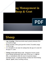Breeding Management in Sheep & Goat