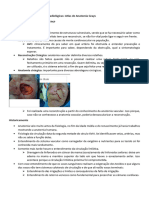 Anatomia Vascular - Aula 1