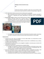 Anatomia Vascular - Aula 1