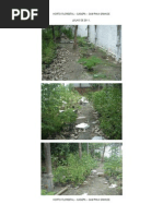 Horto Florestal - Cagepa Justificativas